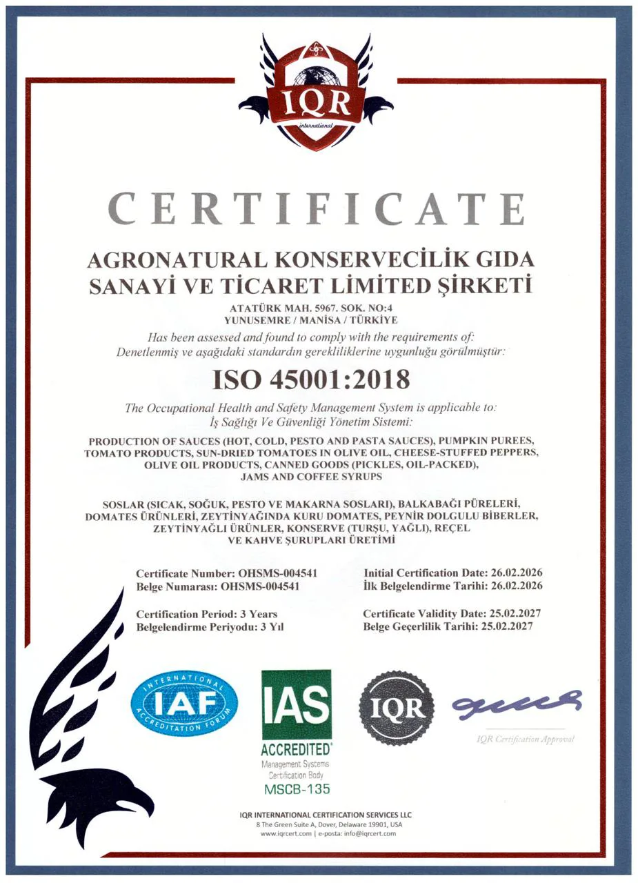 ISO 45001:2018